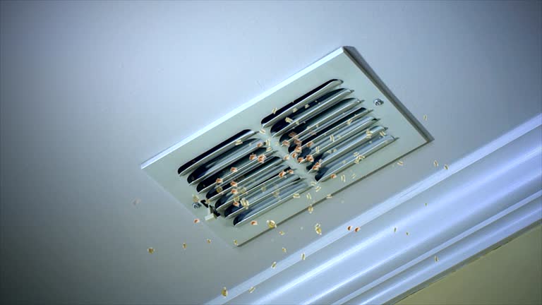 Best HVAC System Cleaning  in Chain Lake, WA