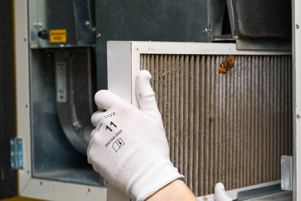 Best Air Duct Mold Removal  in Chain Lake, WA